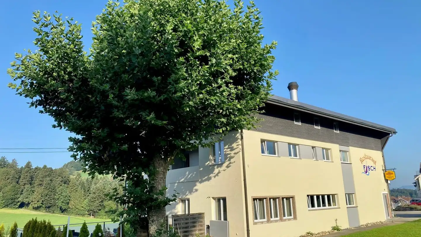 Apartment for rent - Hauptstrasse 9, 6145 Fischbach LU - Photo 2