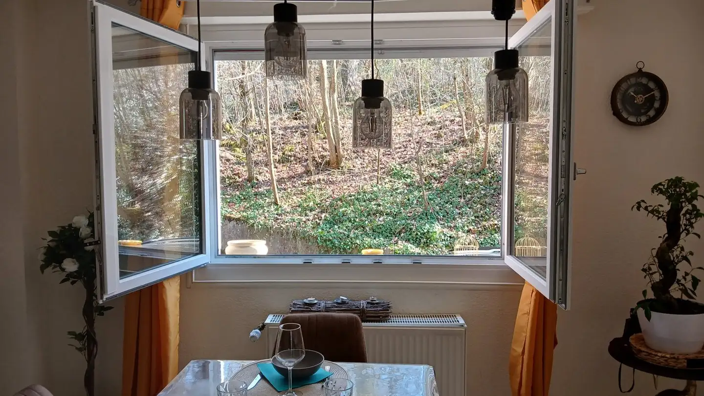 Appartamento in affitto - Chemin De La Morgette 3, 1134 Chigny