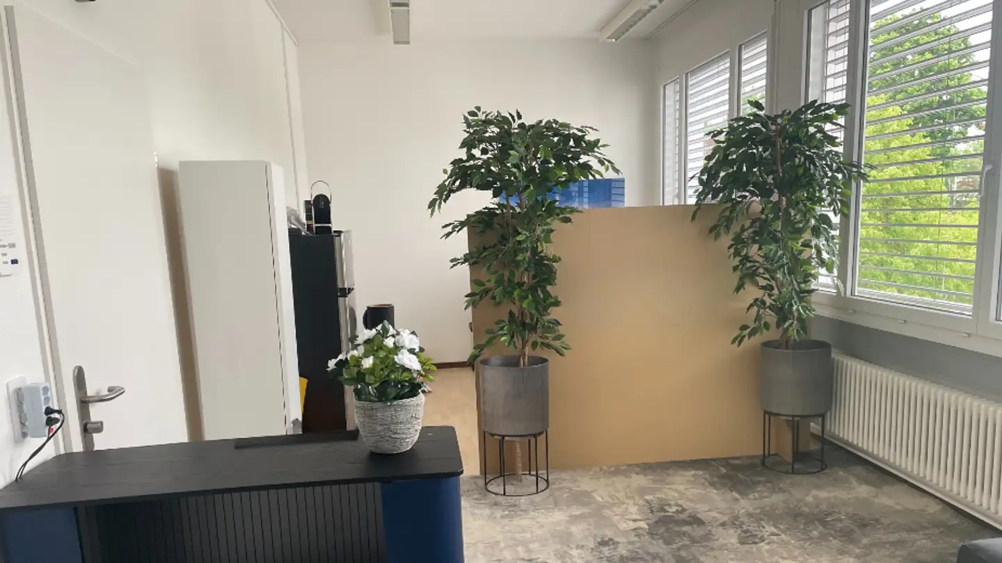 Bureau à louer - Bahnhofstrasse 16, 5600 Lenzburg - Photo 3