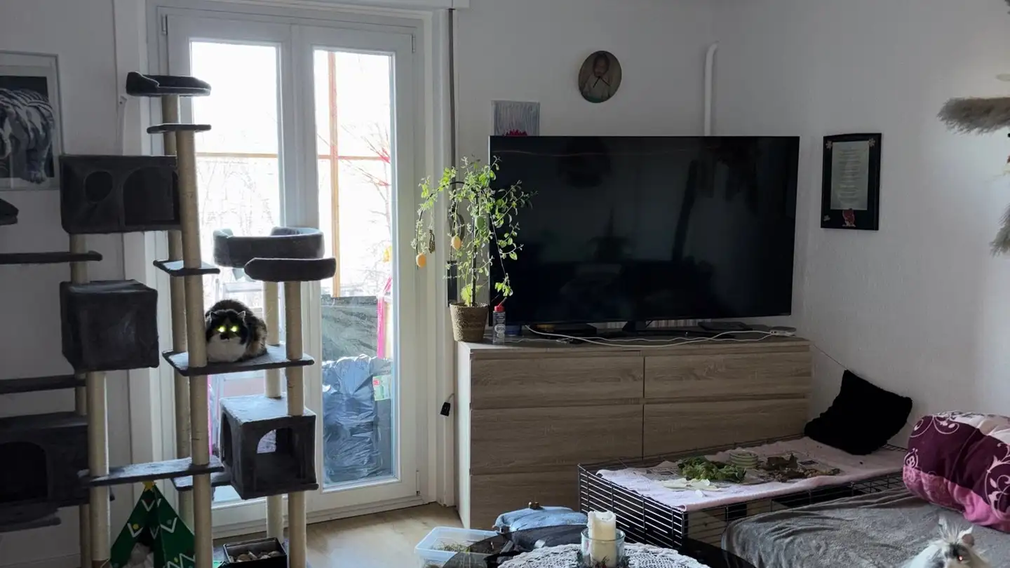 Appartamento in affitto - 1682 Prévonloup - Foto 2