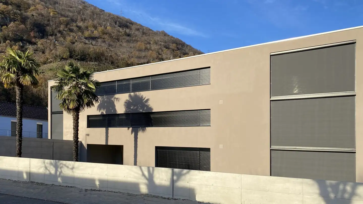 Appartamento in affitto - El Camp Di Nav 6, 6513 Monte Carasso - Photo 2