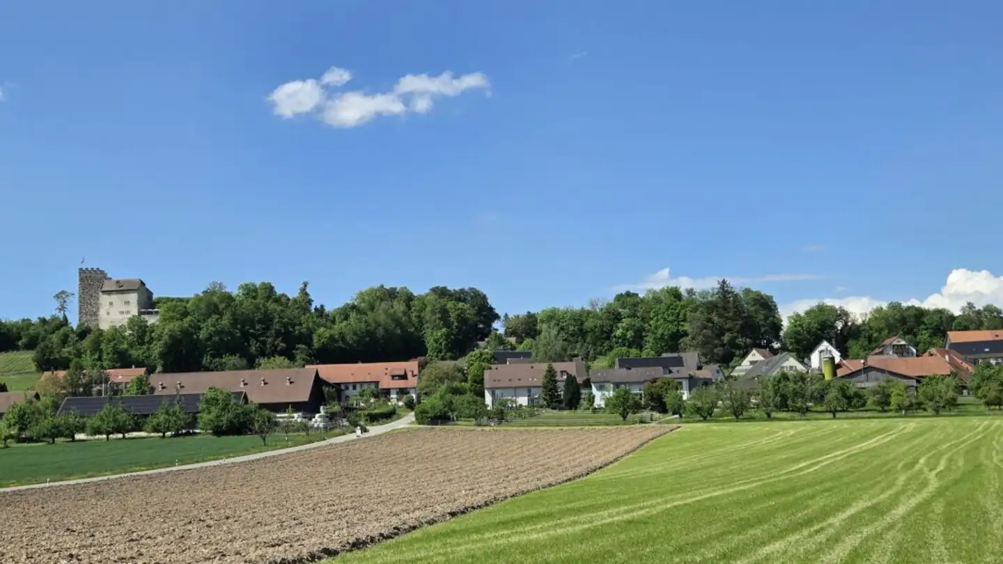 Bauland kaufen - Mitteldorfstrasse, 5245 Habsburg - Foto 4