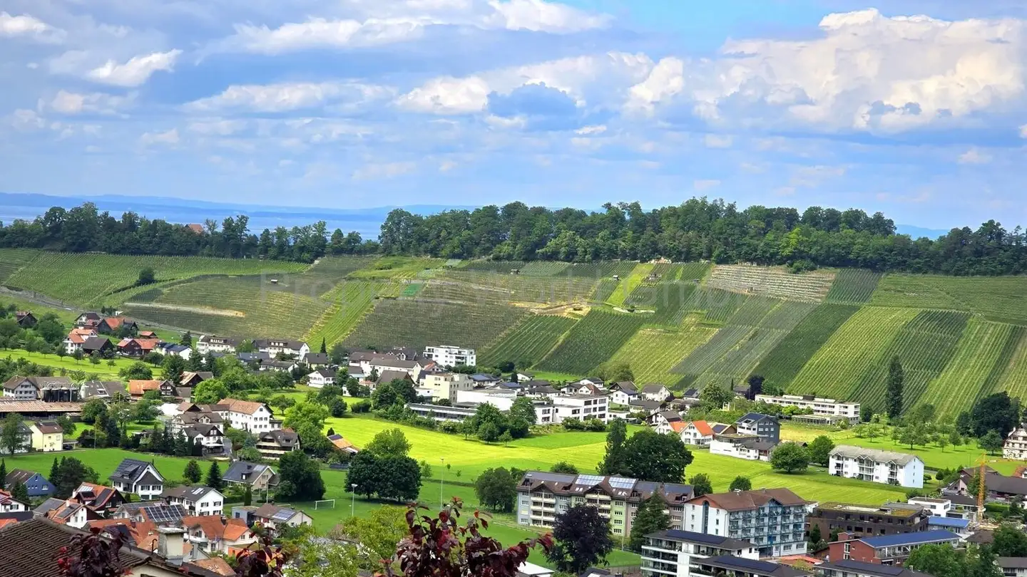 Casa singola in vendita - Haufen 225, 9426 Lutzenberg - Photo 3