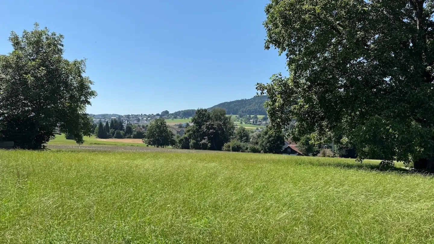 Terreno edificabile in vendita - Schorenstrasse 20, 5734 Reinach AG - Foto 2