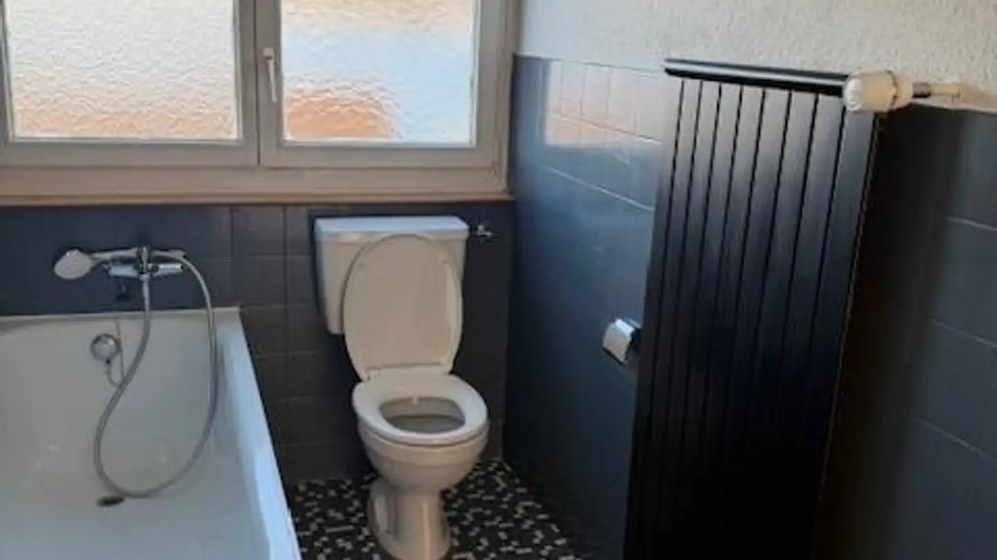 Appartamento in affitto - Seestrasse 295, 8810 Horgen - Foto 3