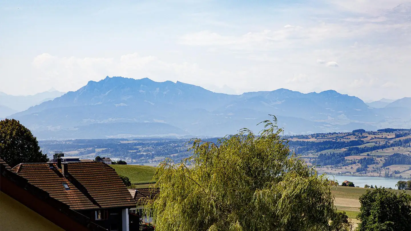 Appartement en terrasse à vendre - Dorfstrasse 7a, 6289 Müswangen - Photo 3