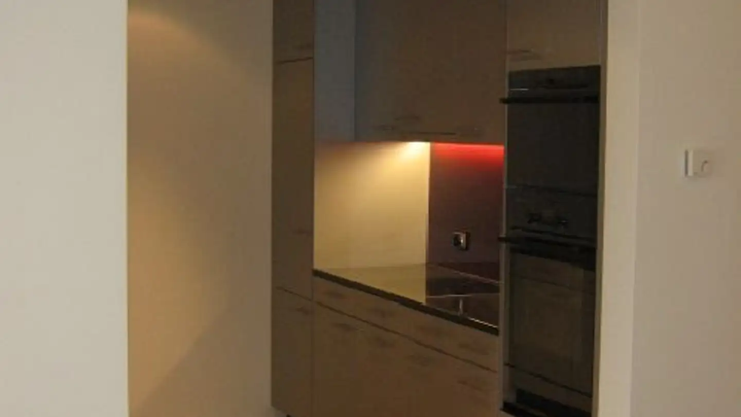 Duplex in affitto - Am Eulachpark 15, 8404 Winterthur - Foto 3