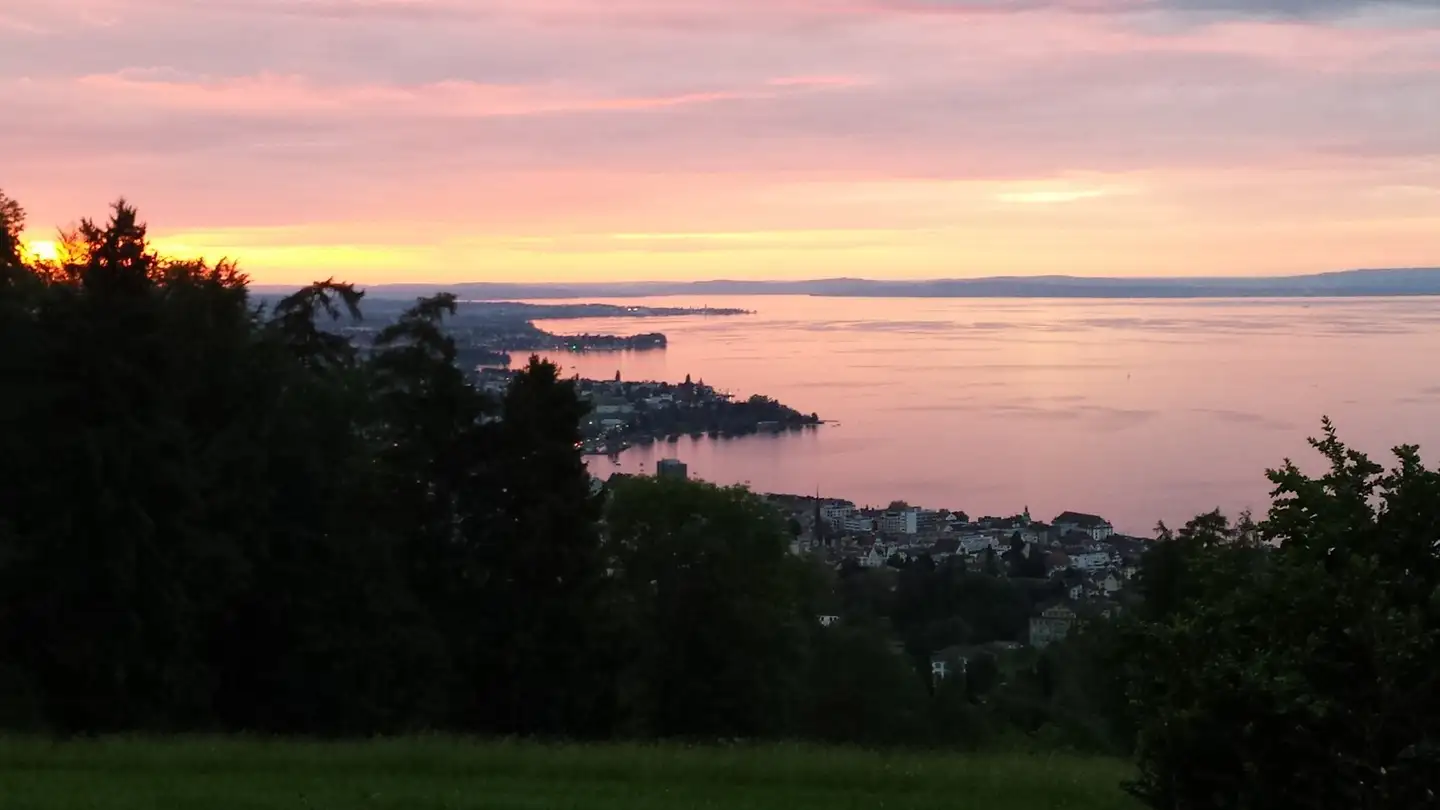 Stanza singola in affitto - Weidsträsschen, 9404 Rorschacherberg - Photo 2