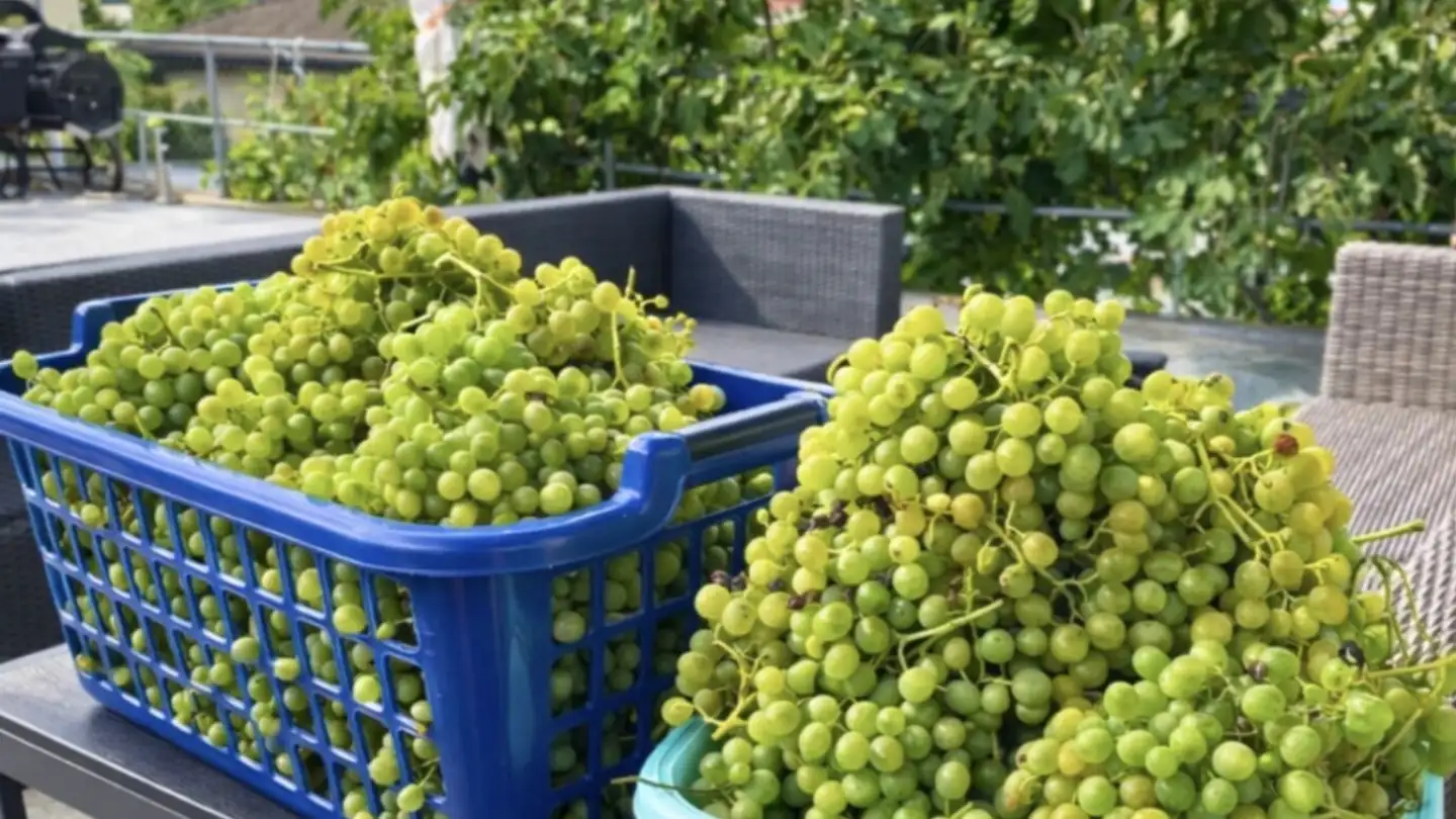 Reihenhaus kaufen - 6030 Ebikon - Foto 4