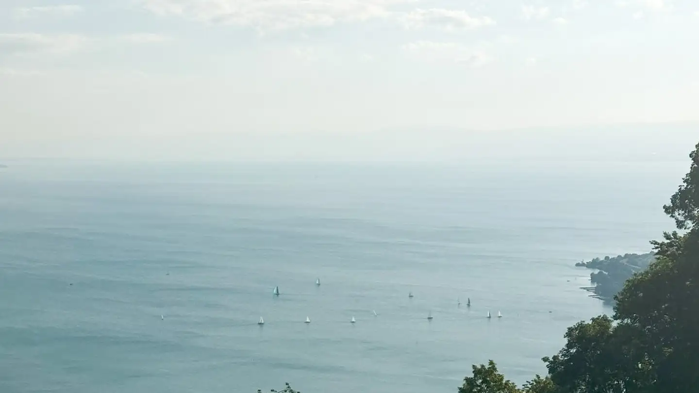 Appartement à louer - 1071 Chexbres - Photo 4