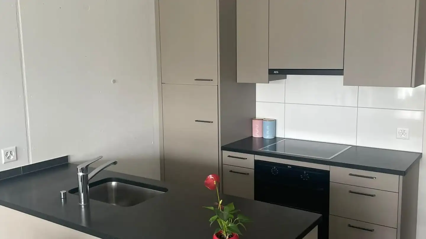 Appartamento in affitto - Staatsstrasse 1, 9463 Oberriet SG