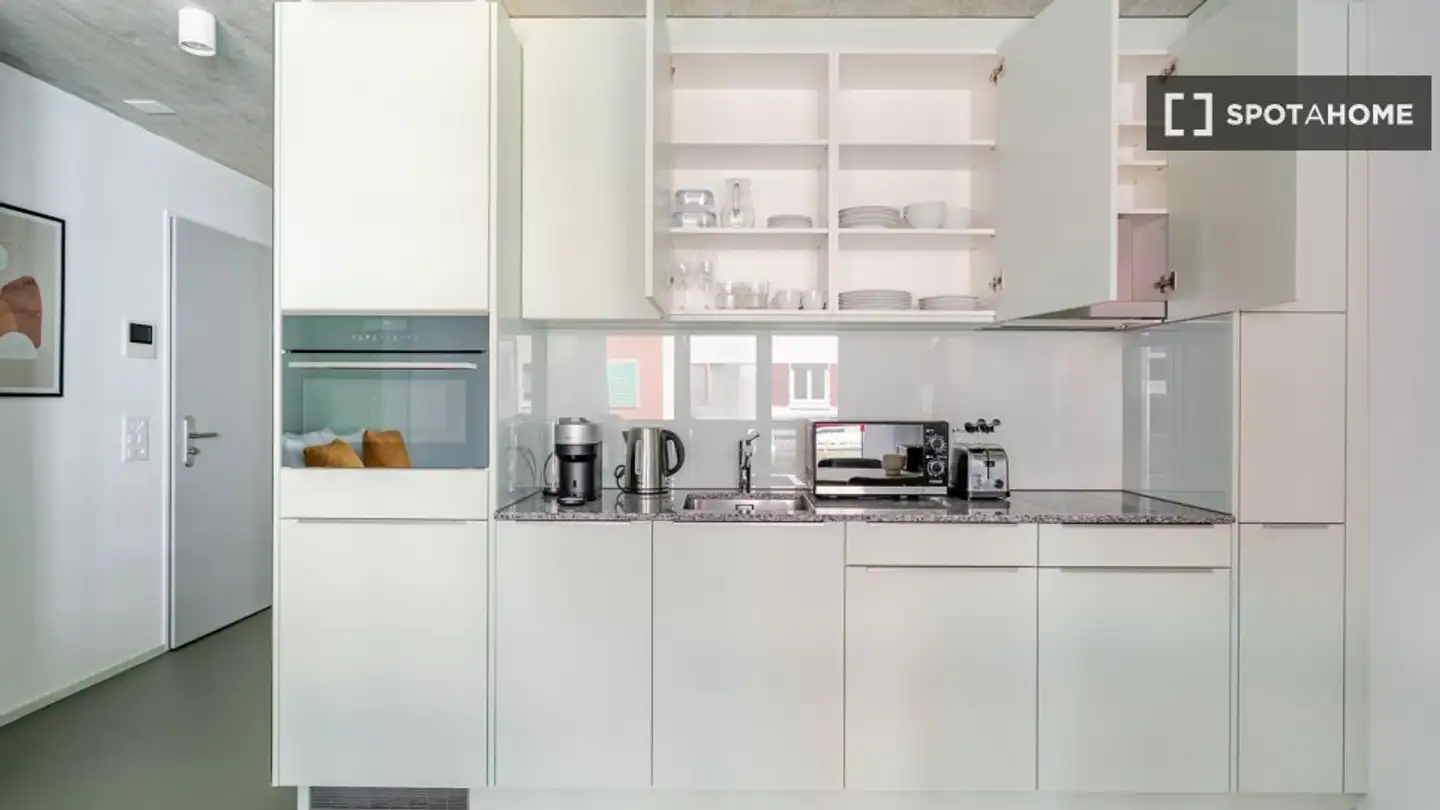 Studio for rent - 8050 Zürich - Photo 4