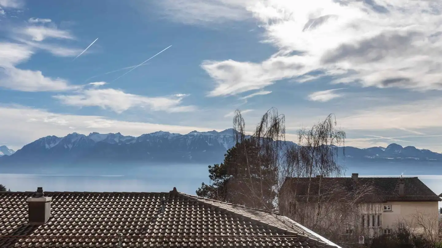 Appartement à vendre - 1009 Pully - Photo 2