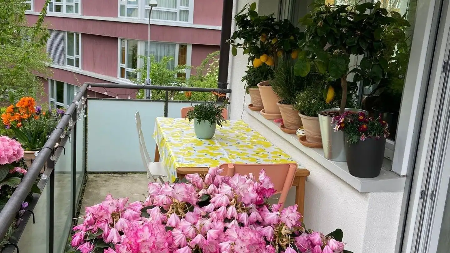 Apartment for rent - Toblerstrasse, 8044 Zürich - Photo 2