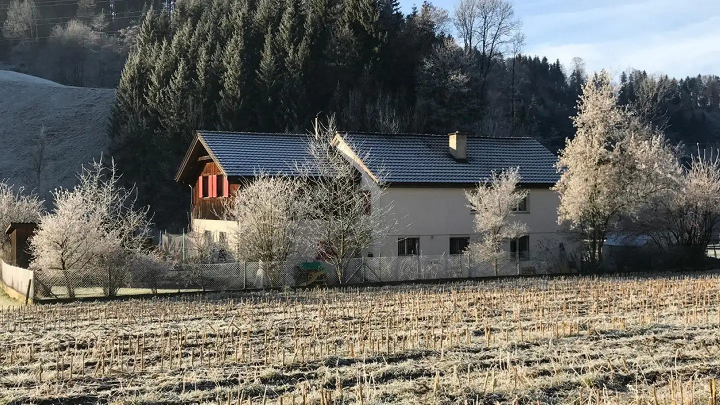 Maison individuelle à vendre - Unterrindal 71, 9604 Unterrindal