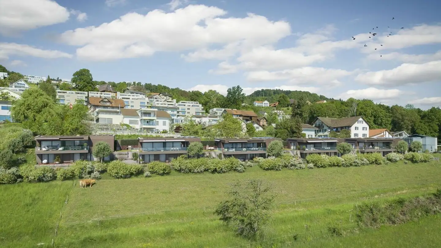 Casa singola in vendita - Wilifeldstrasse 66, 5708 Birrwil - Foto 3