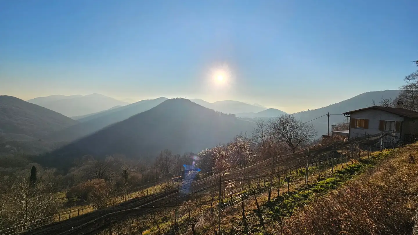 Bauland kaufen - Ur Stradón 29, 6994 Aranno - Foto 3