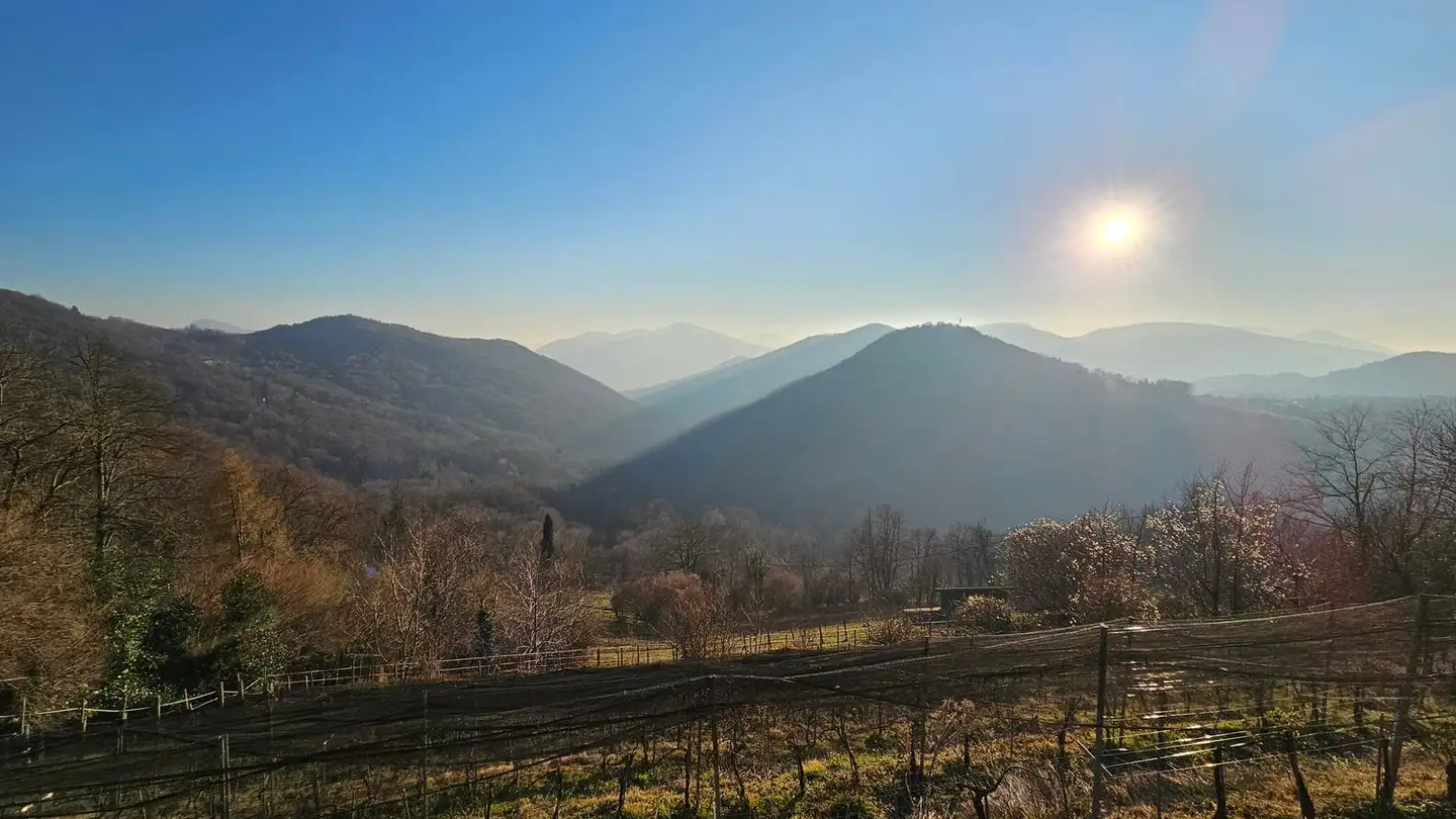 Bauland kaufen - Ur Stradón 29, 6994 Aranno - Foto 4