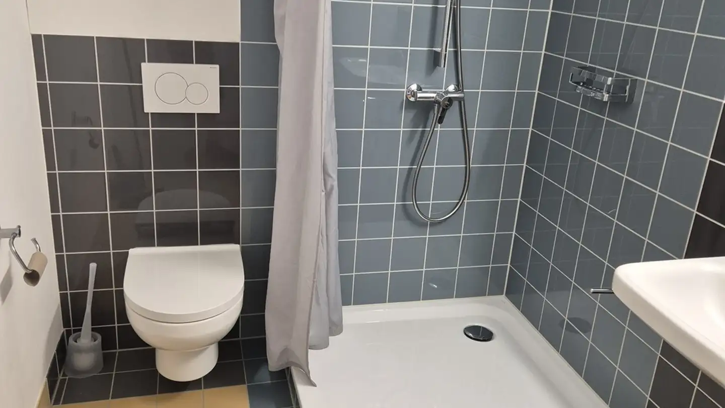 Apartment for rent - 8052 Zürich - Photo 2