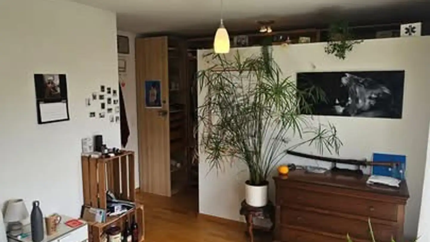 Apartment for rent - Chemin Du Bois-De-Menton 9d, 1066 Epalinges