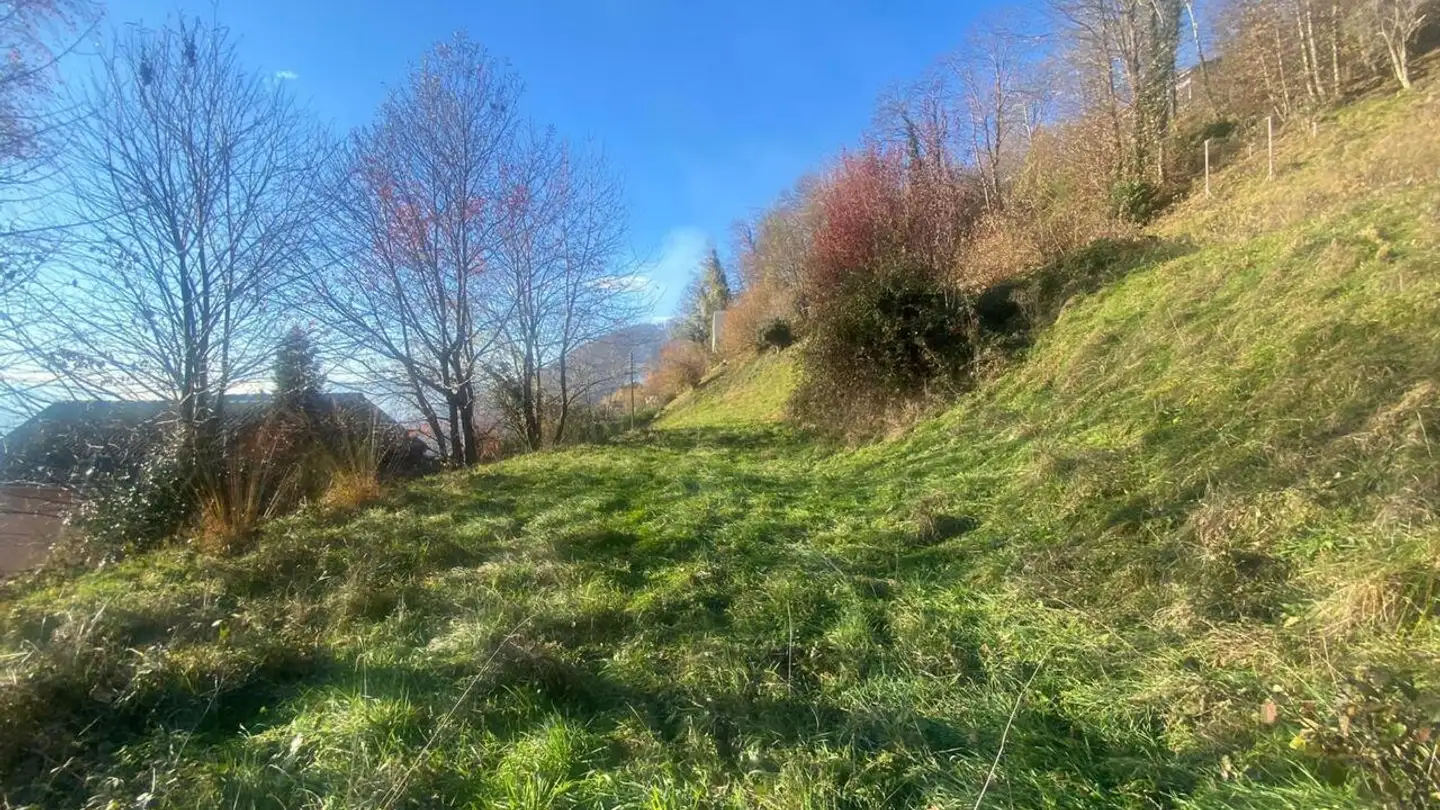Constructible plot for sale - 6936 Cademario - Photo 2