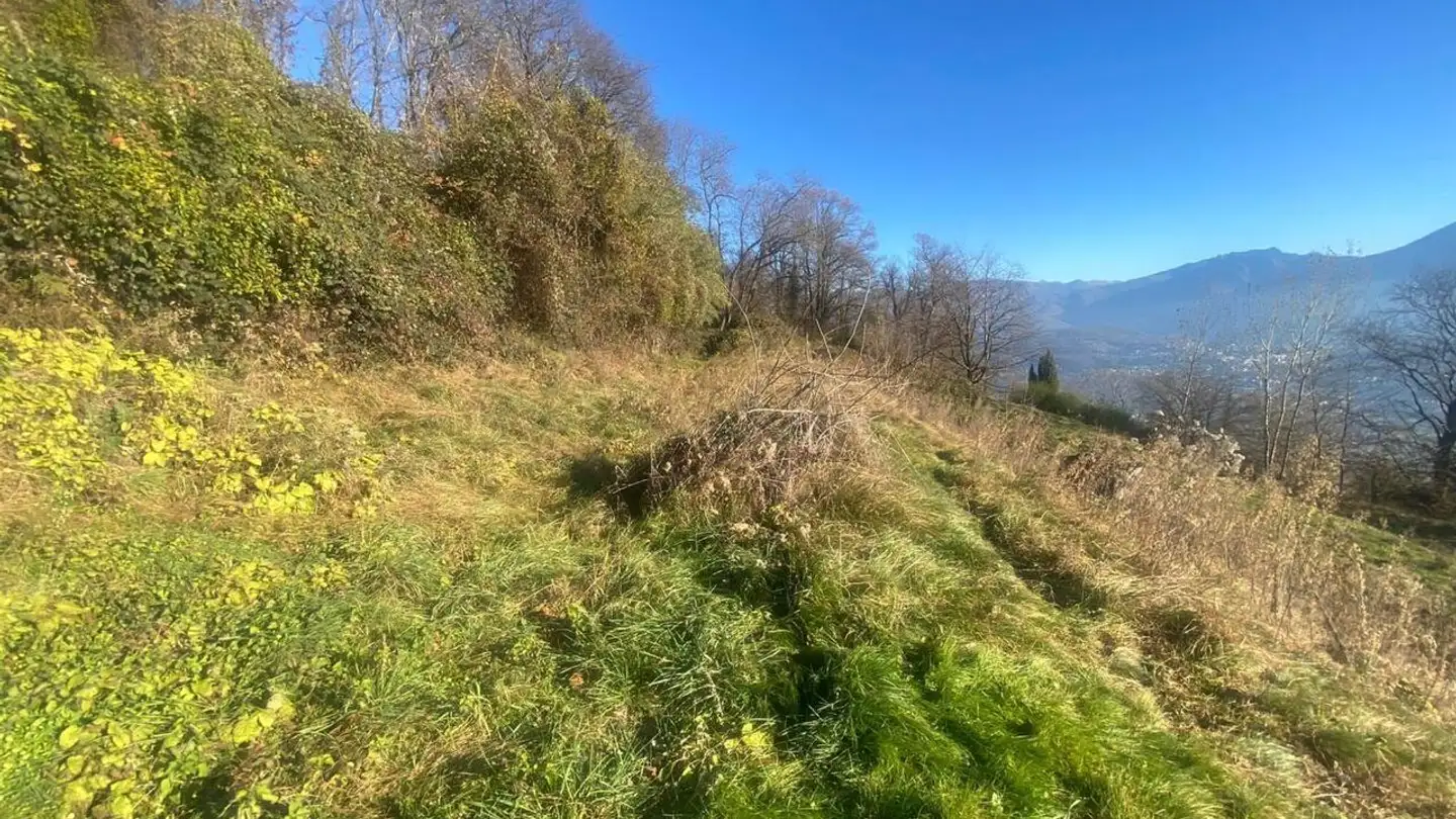 Constructible plot for sale - 6936 Cademario - Photo 3