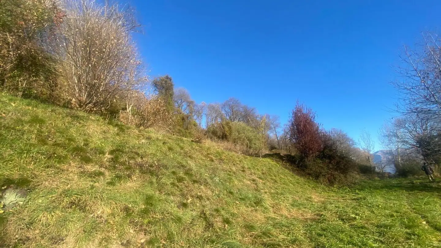 Terrain constructible à vendre - 6936 Cademario