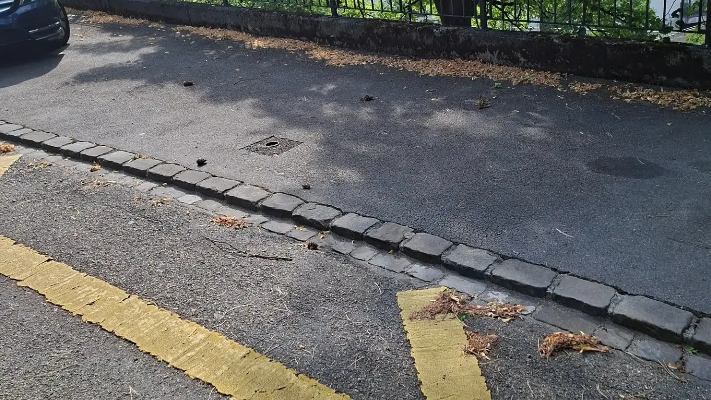 Parkplatz im Freien mieten - Brandschenkesteig 2, 8002 Zürich