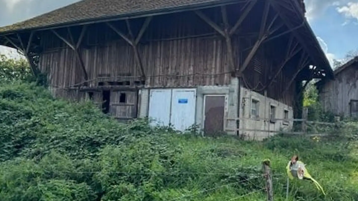 Terreno edificabile in vendita - Oberherten, 8479 Altikon
