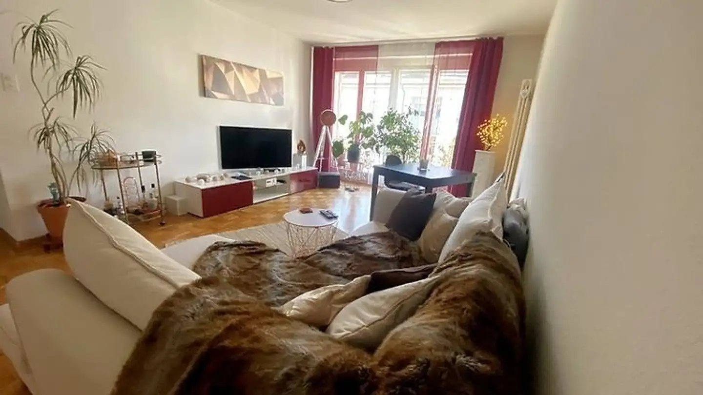Appartamento ammobiliato in affitto - 4052 Basel