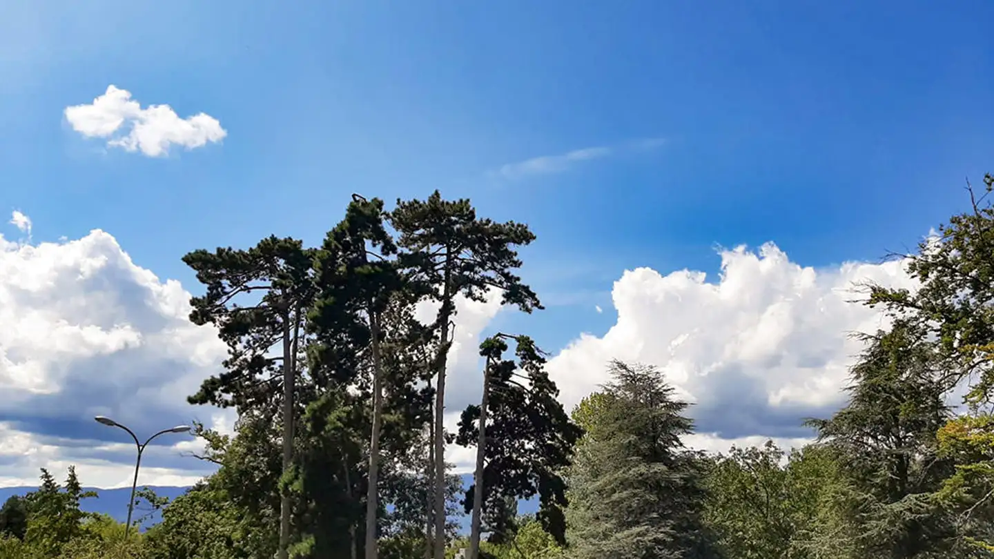 Villa kaufen - 1218 Le Grand-Saconnex