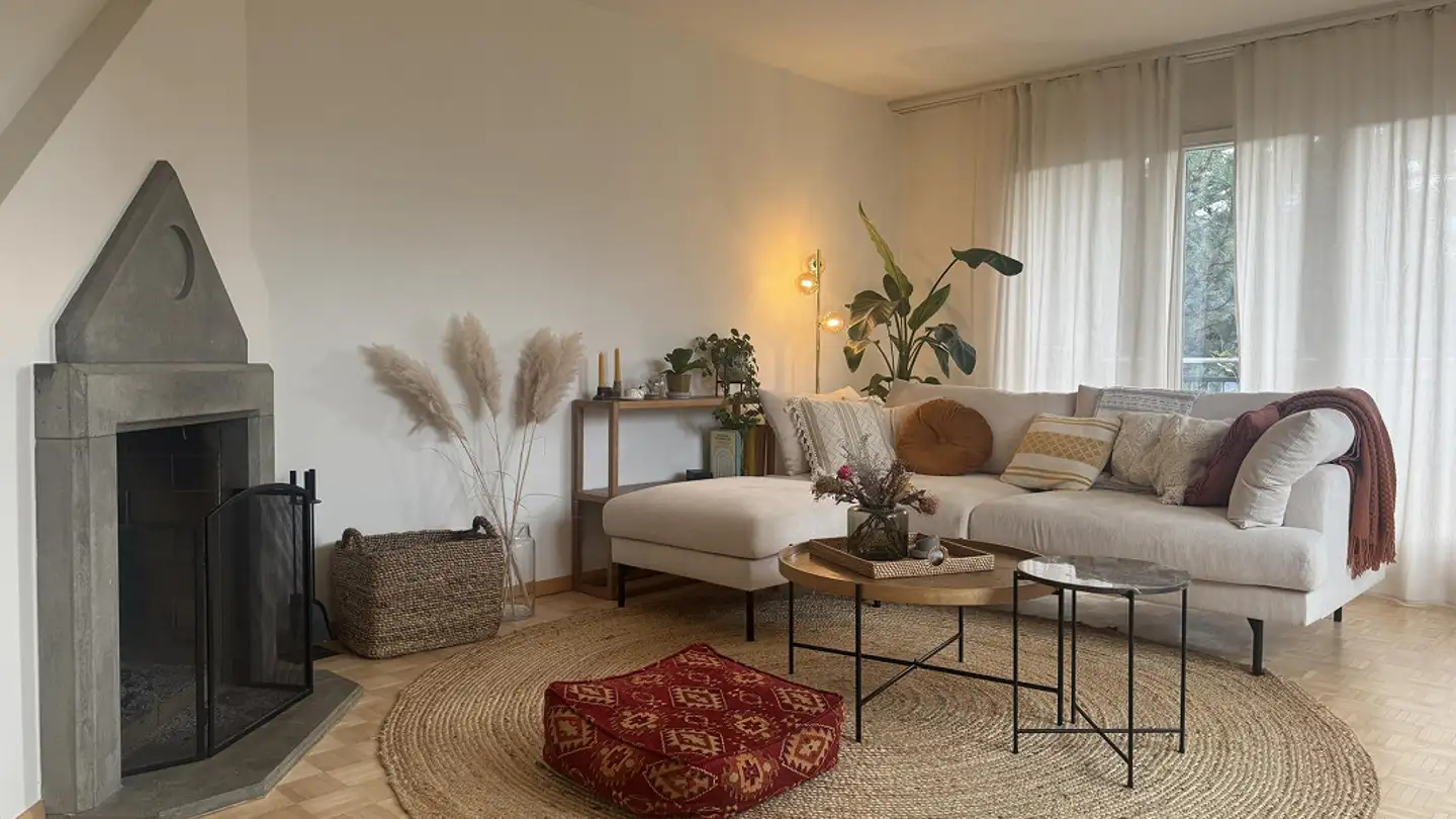 Möblierte Wohnung mieten - 8046 Zürich