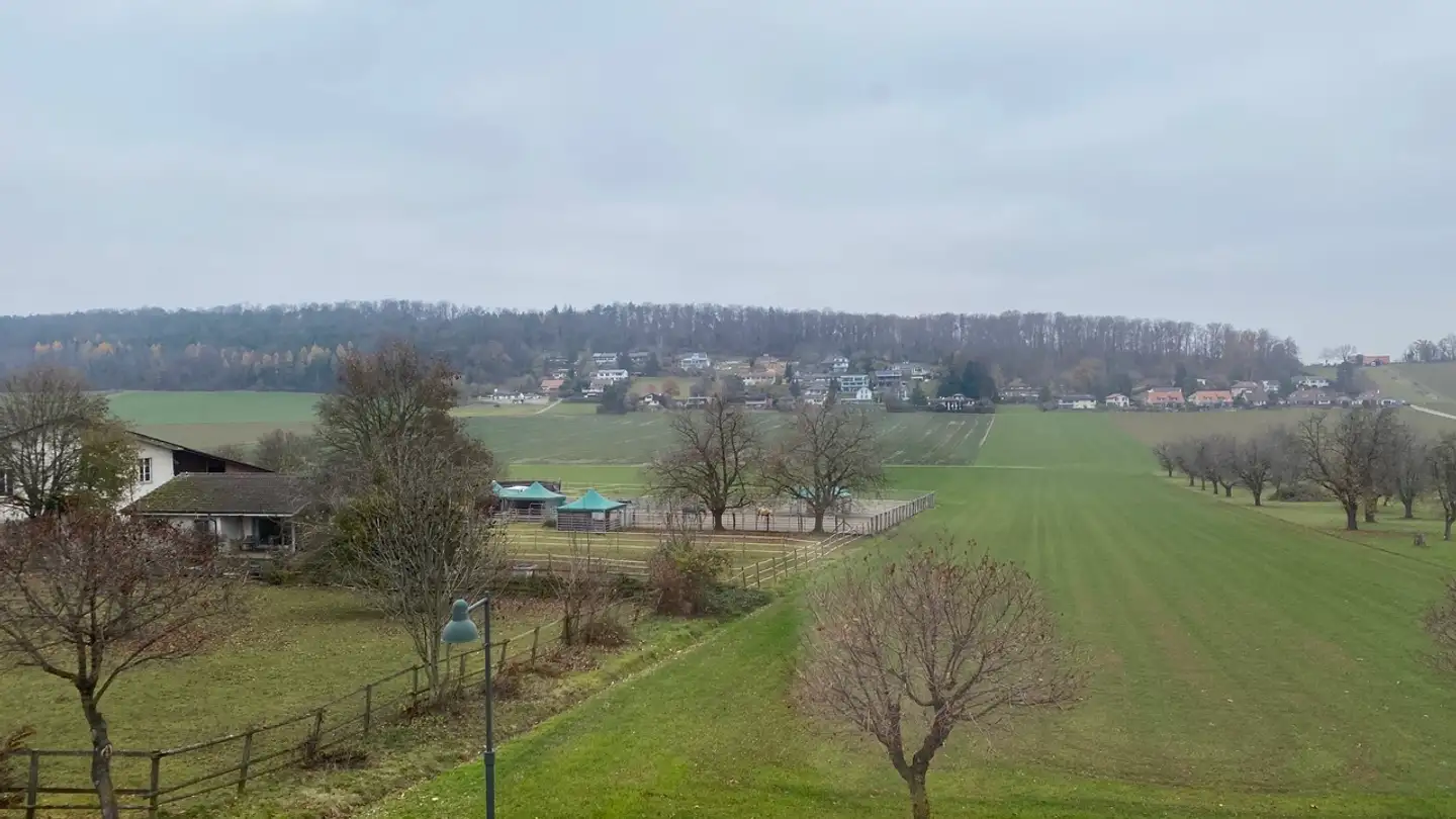 Wohnung mieten - Metzerlenstrasse 11, 4115 Mariastein - Foto 2