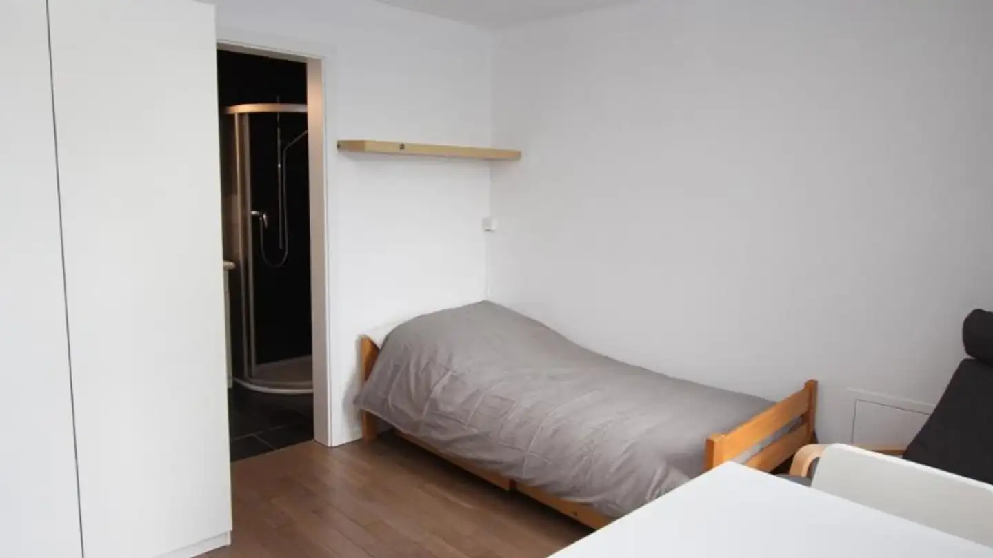 Furnished apartment for rent - Rue De Montbrillant 21, 1201 Genève - Photo 3