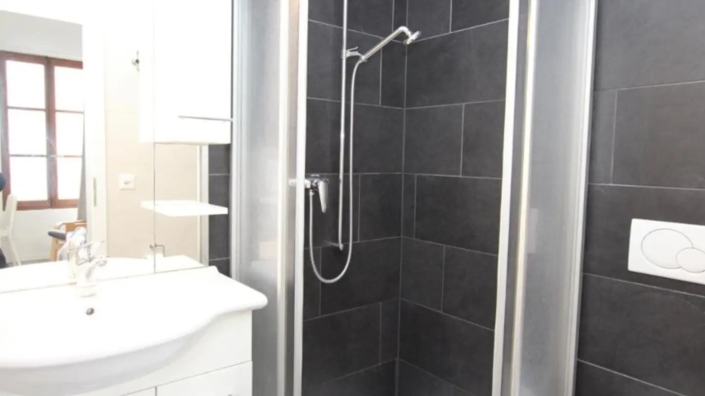 Furnished apartment for rent - Rue De Montbrillant 21, 1201 Genève - Photo 4