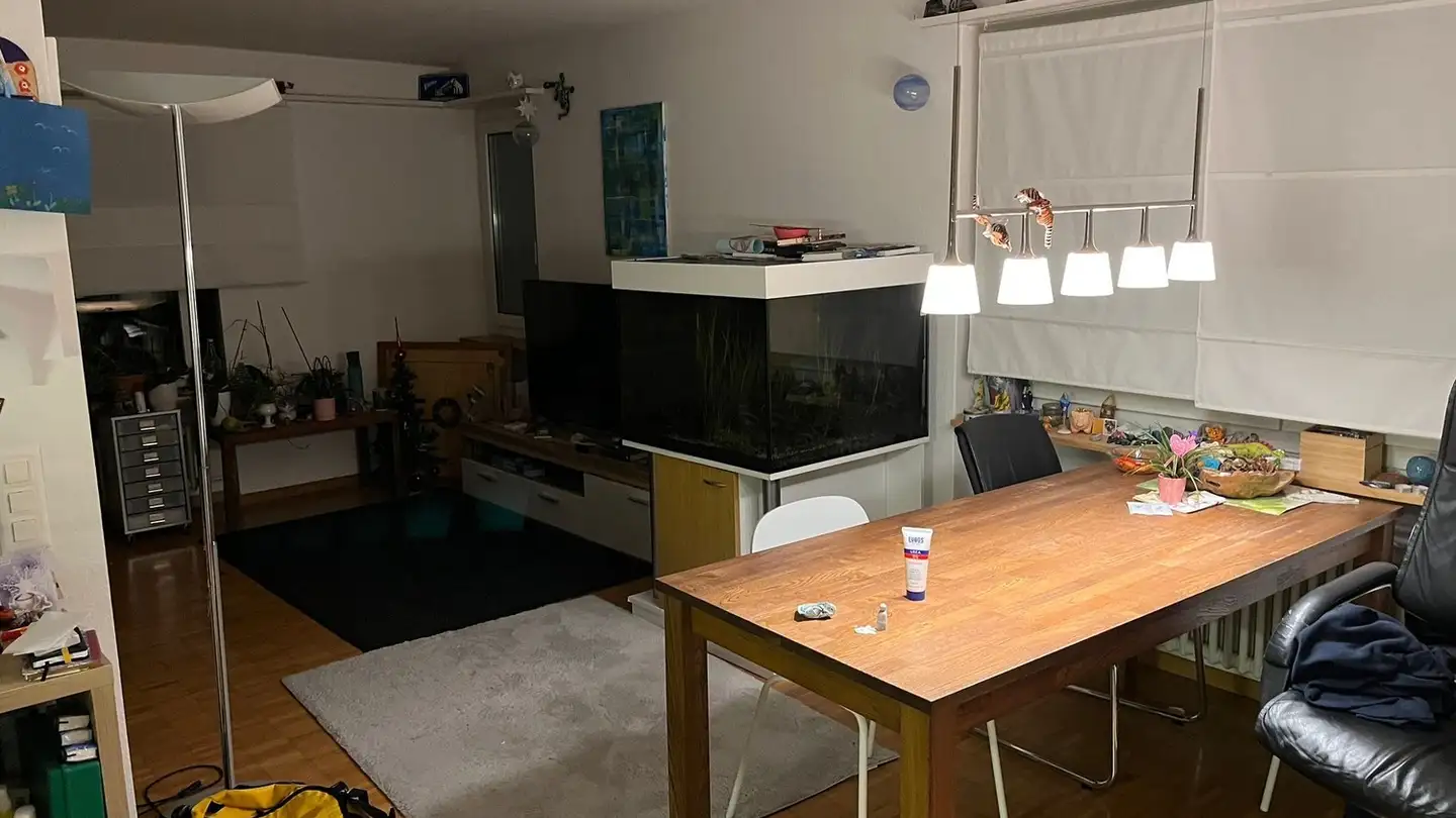 Wohnung mieten - Mülistrasse 11, 8320 Fehraltorf