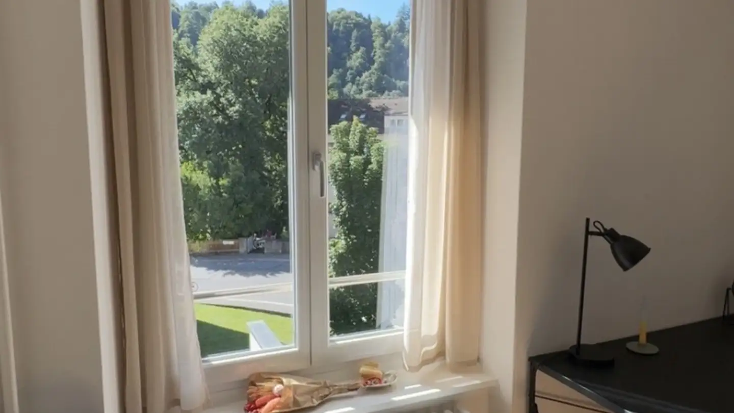 Single room for rent - St.-Karli-Strasse 70, 6004 Luzern - Photo 2