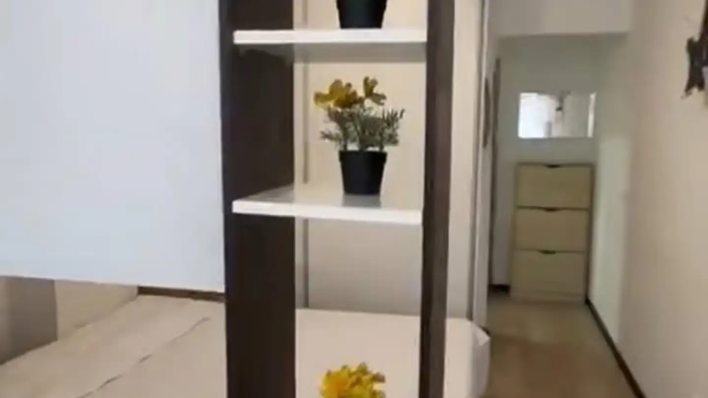 Appartement à louer - Boulevard Carl- Vogt 16, 1205 Genève