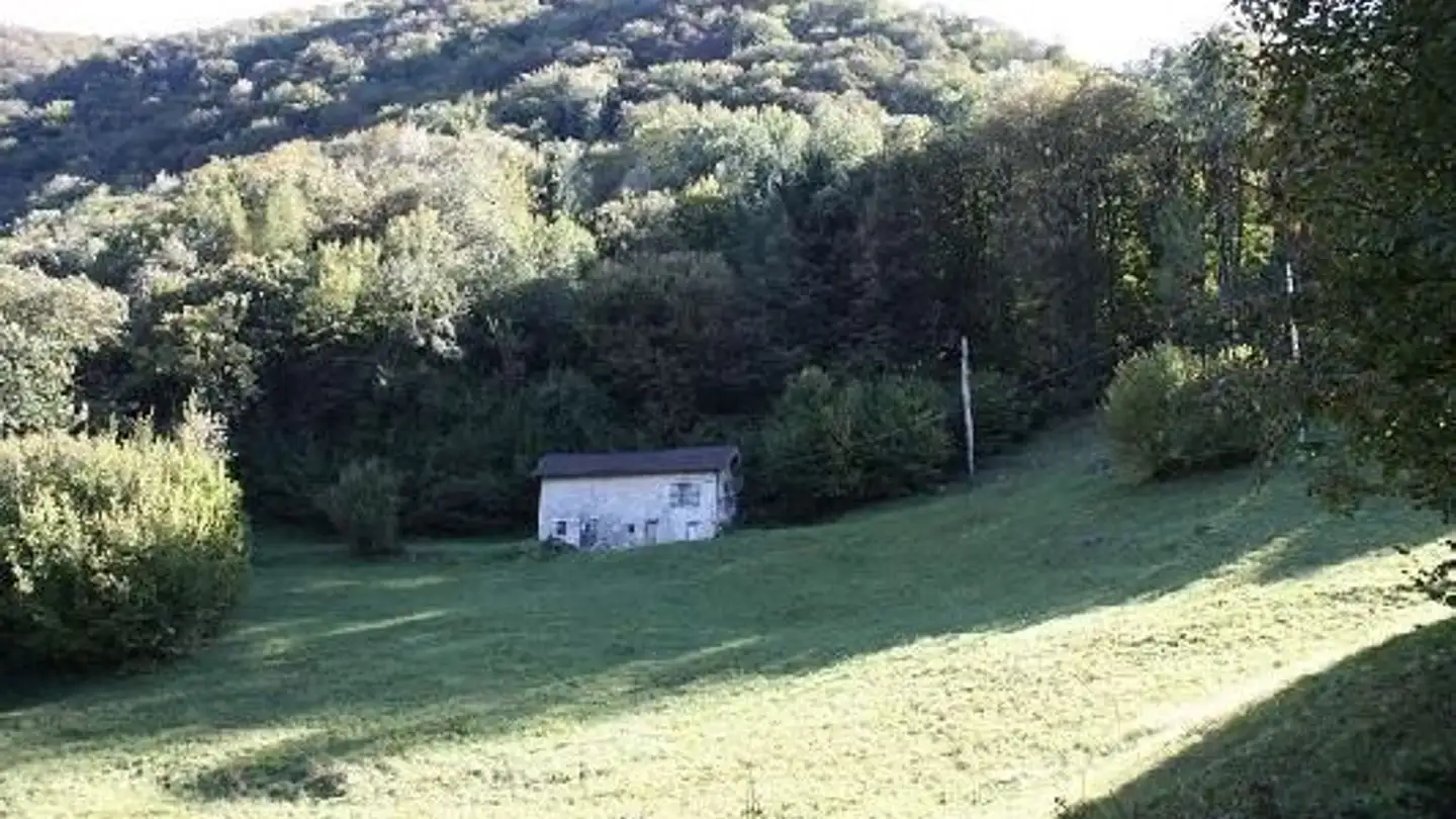 Maison atypique à vendre - 6072 Sachseln - Photo 4