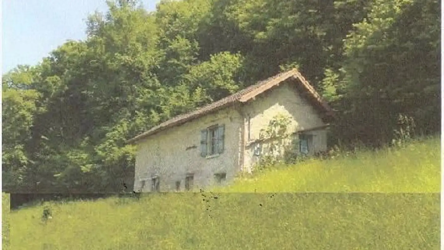 Maison atypique à vendre - 6072 Sachseln