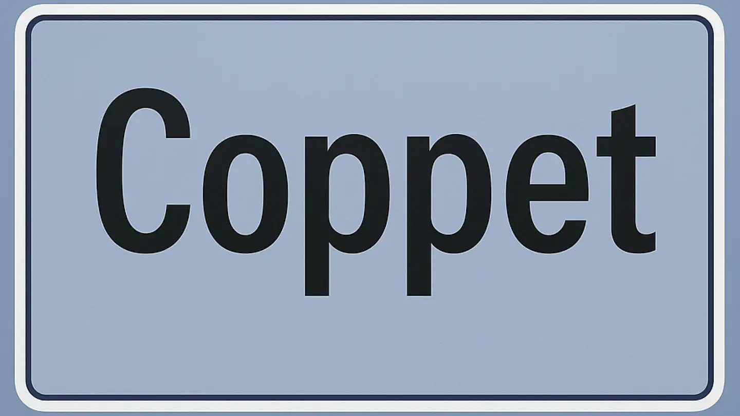 Negozio in vendita - 1296 Coppet