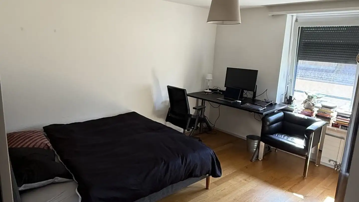 Chambre à louer - Limmatstrasse 123, 8005 Zürich
