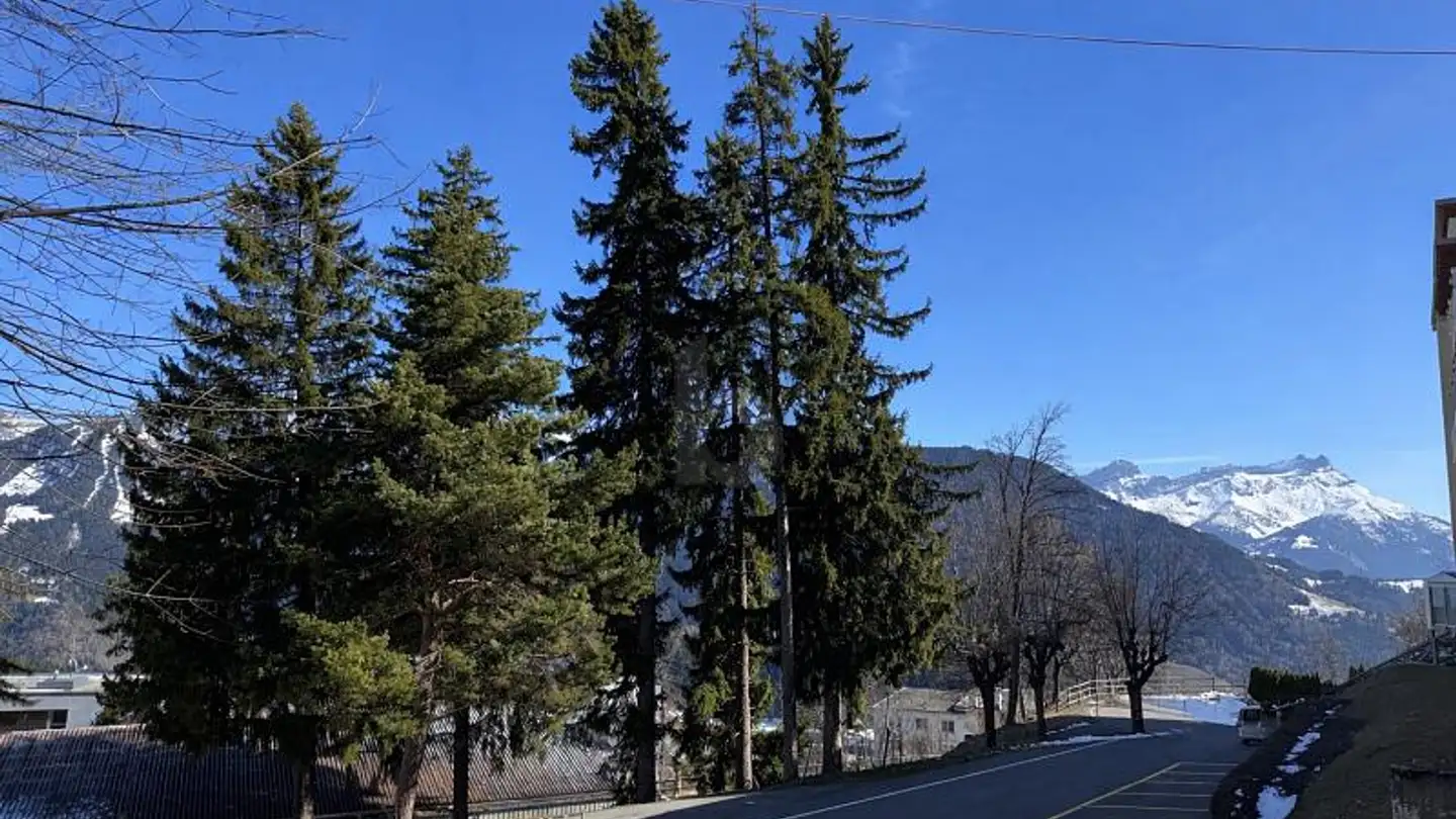 Hotel for sale - 1854 Leysin - Photo 2