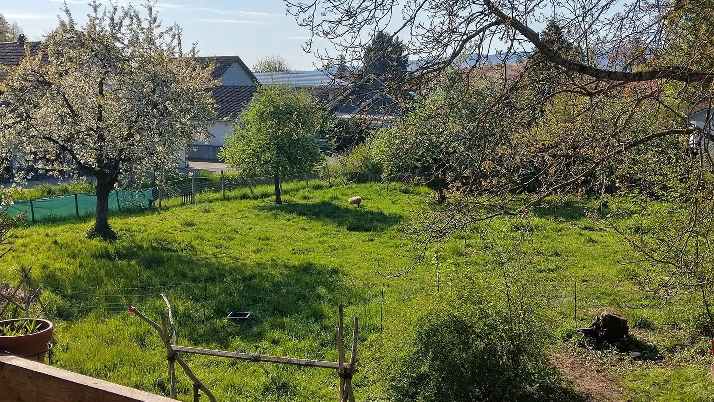 Appartamento in affitto - Poststrasse 55, 8505 Pfyn - Foto 2