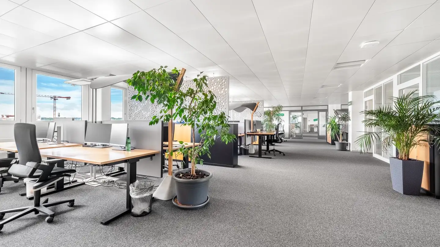 Spazio ufficio in affitto - Stauffacherstrasse 145, 3014 Bern - Foto 3