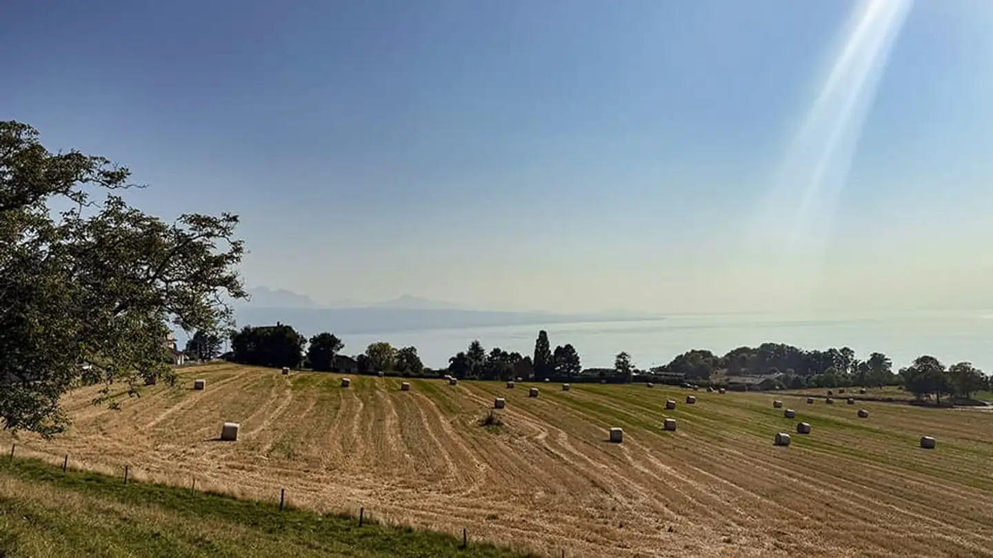 Appartamento in vendita - 1091 Grandvaux - Photo 2