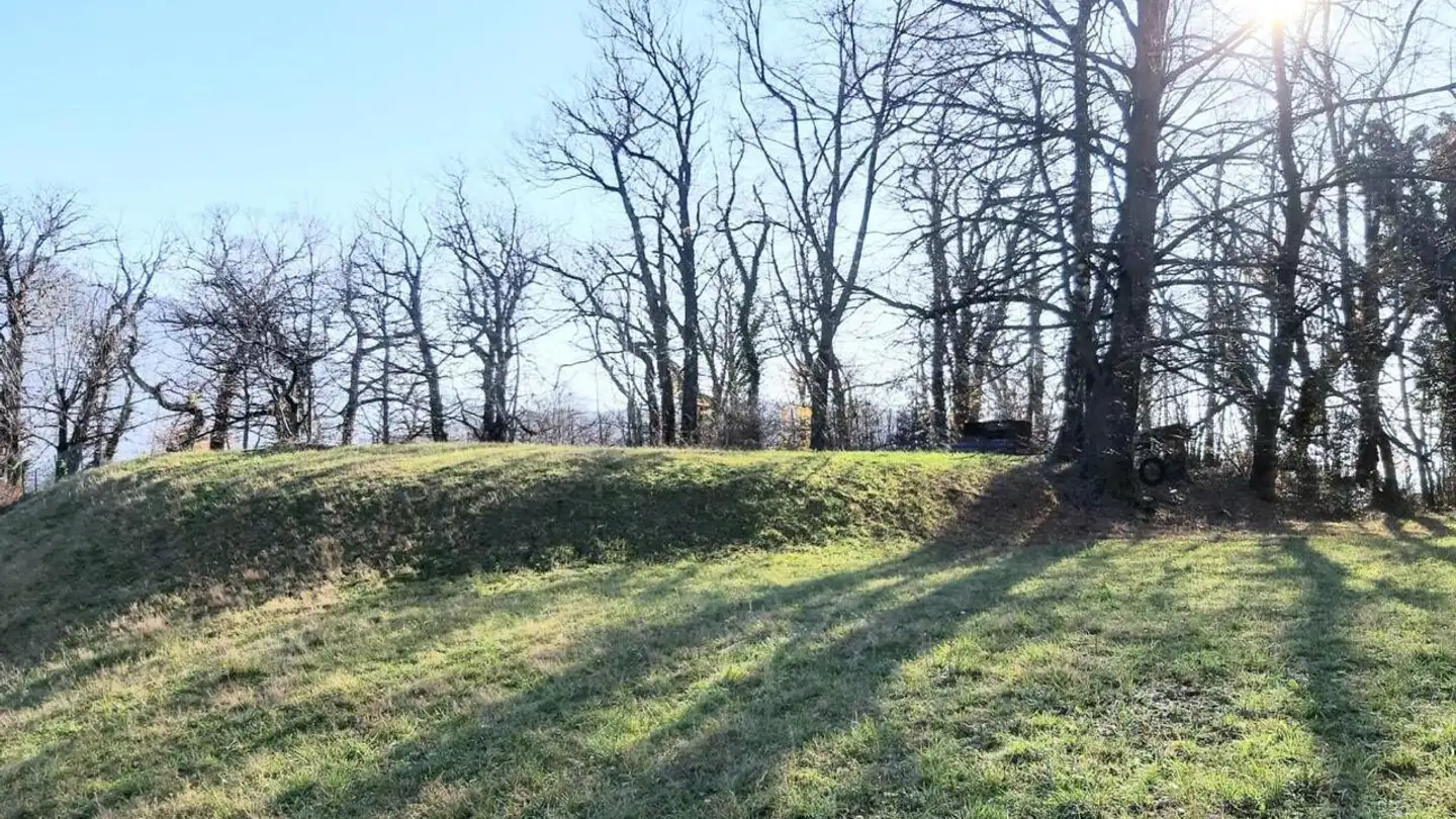 Terreno edificabile in vendita - 6954 Sala Capriasca - Foto 3