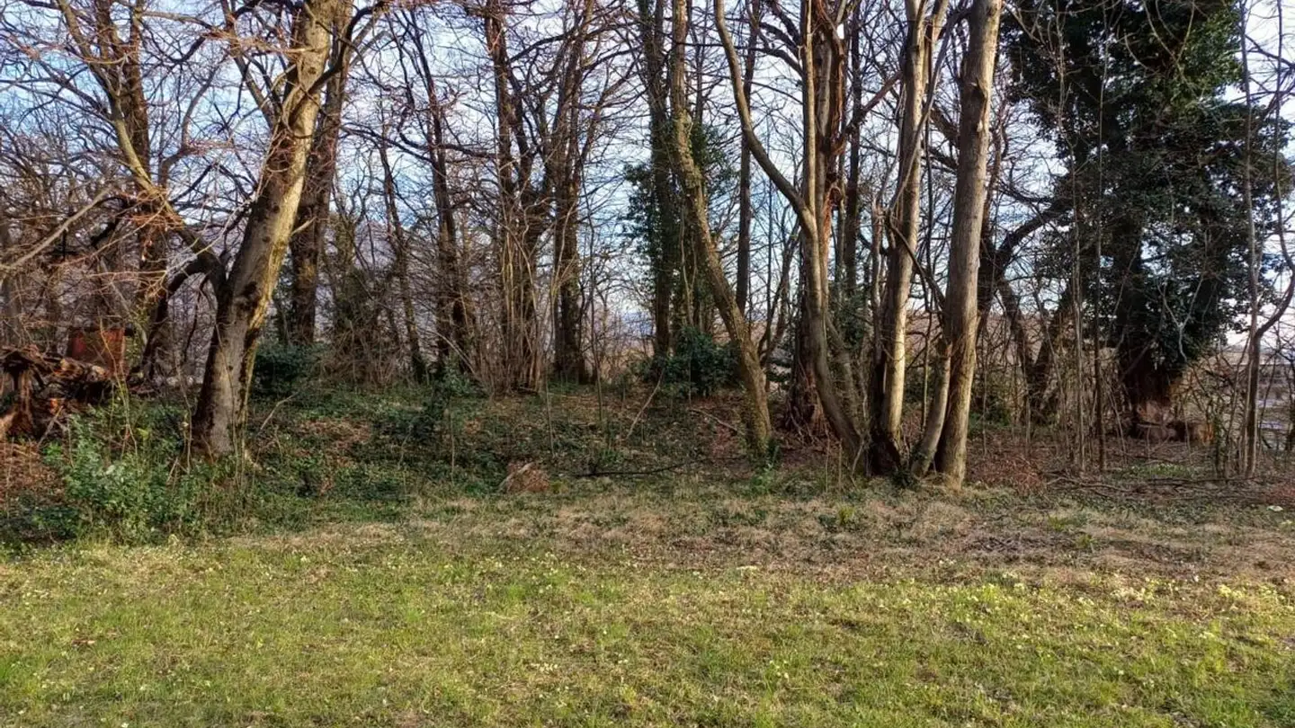 Terreno edificabile in vendita - 6954 Sala Capriasca - Foto 4