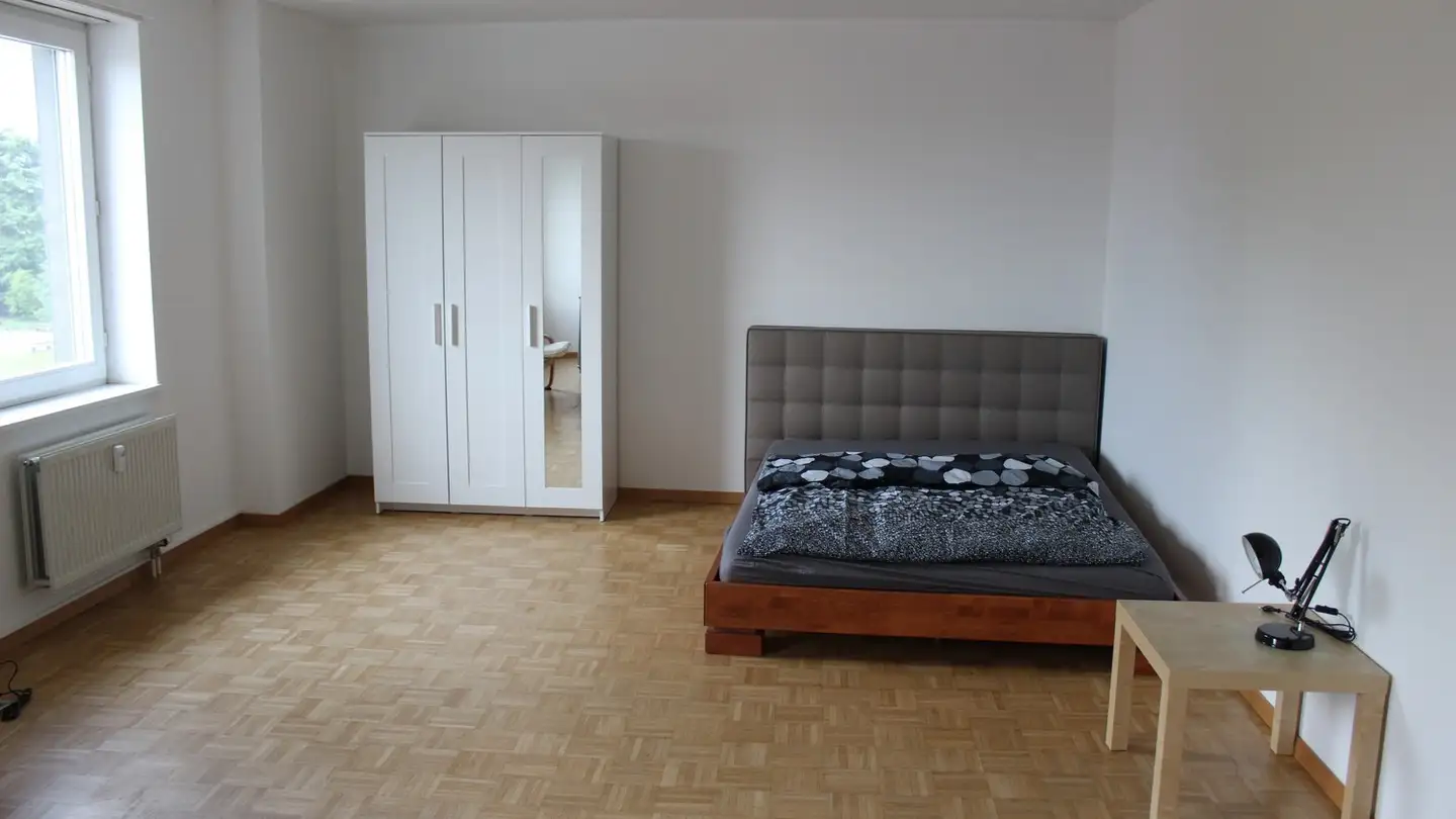 Single room for rent - Grenzacherstrasse 223, 4058 Basel