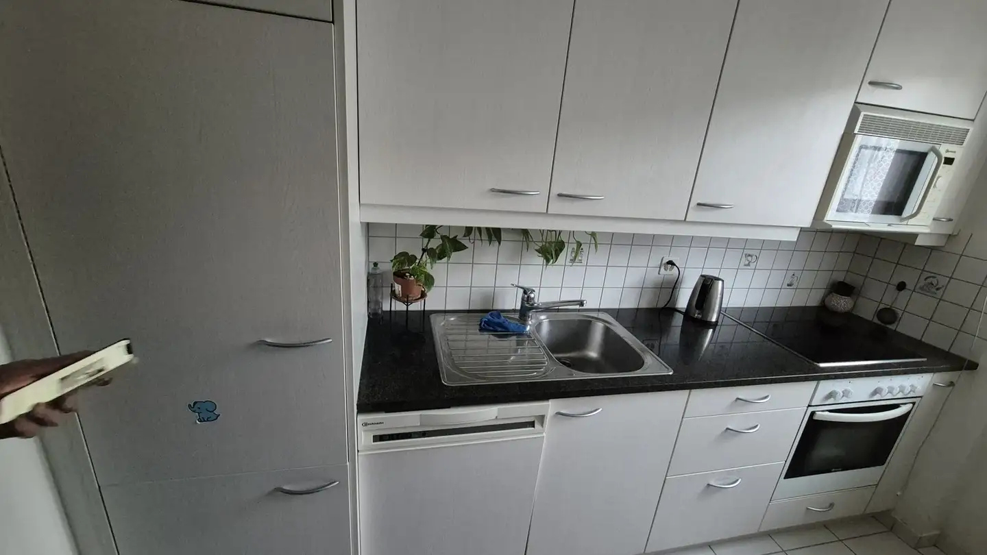 Apartment for sale - Burenweg 52, 4127 Birsfelden - Photo 3